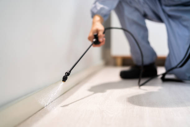 Licensed Cockroach Control service in Bedford, OH - Nex Pest Control