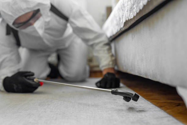 Professional Cockroach Control technician working in Bedford, OH